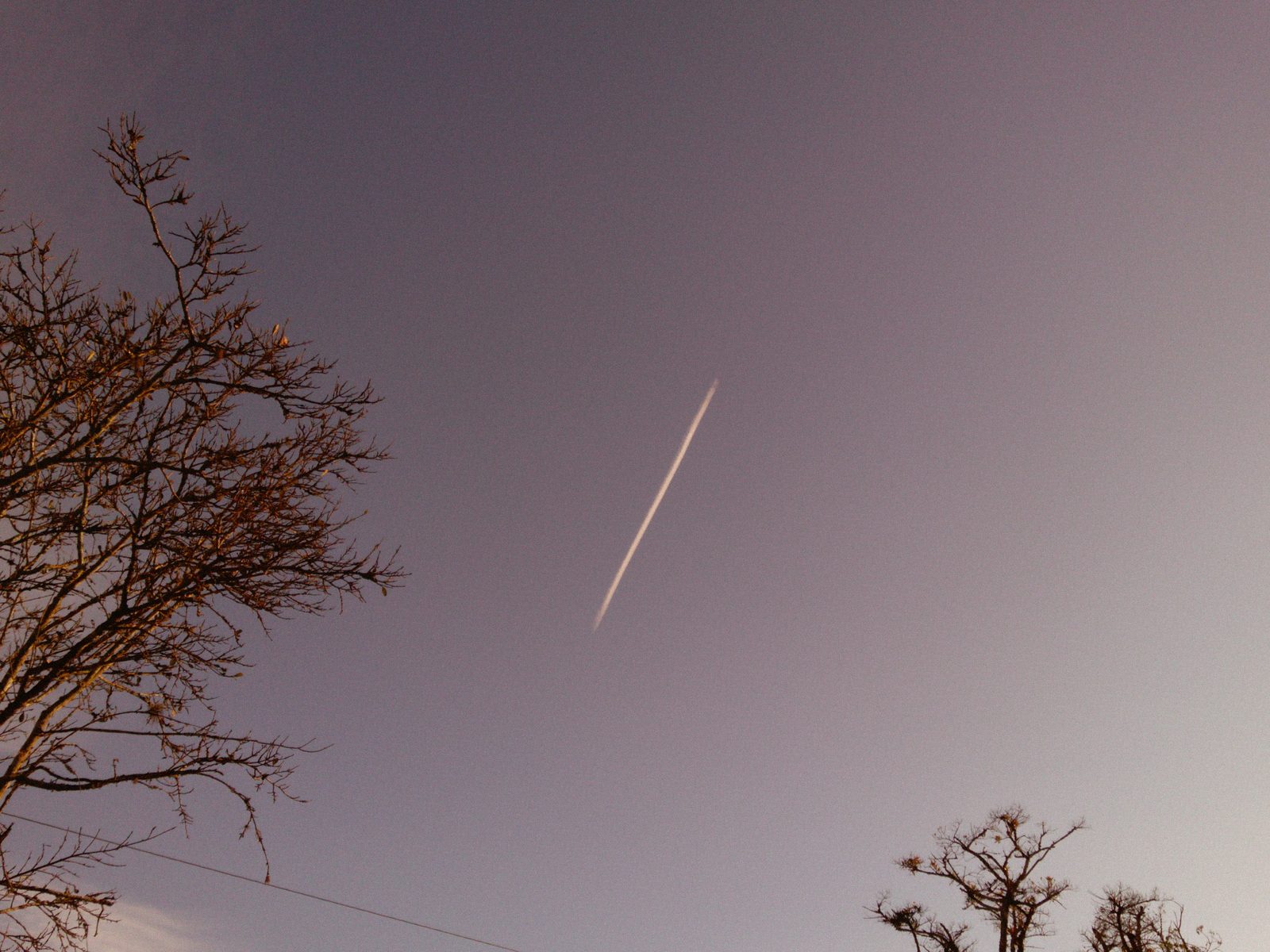 Rastro de avião no céu ao entardecer entre galhos secos, feita por Priscila Carvalho com o filtro F4 da ALT Special Edition