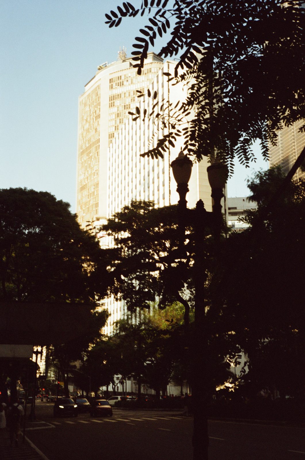 Foto de exemplo com o filme ALTCOLOR 400, por @gabrielc_png